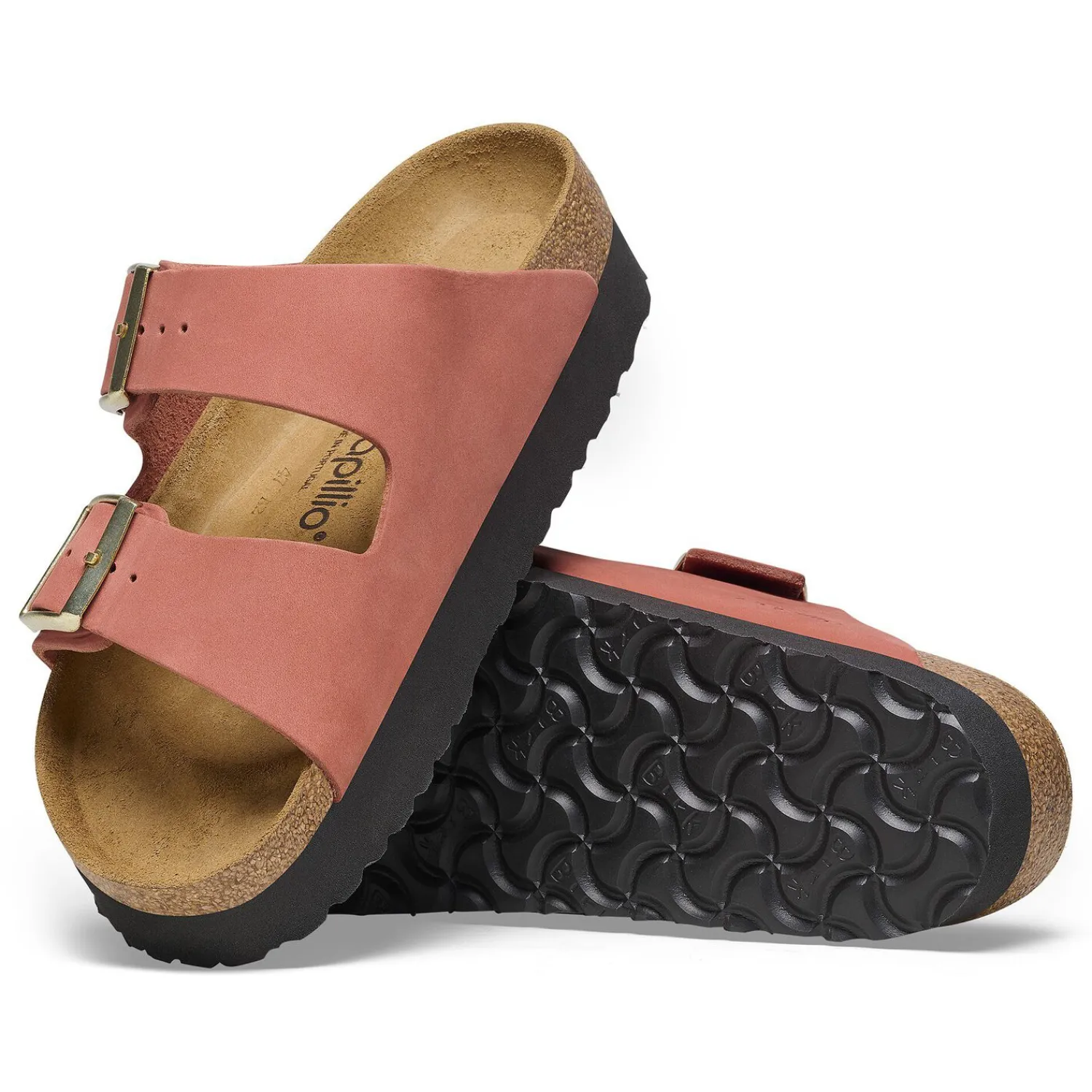 New Arizona Donna Plateau