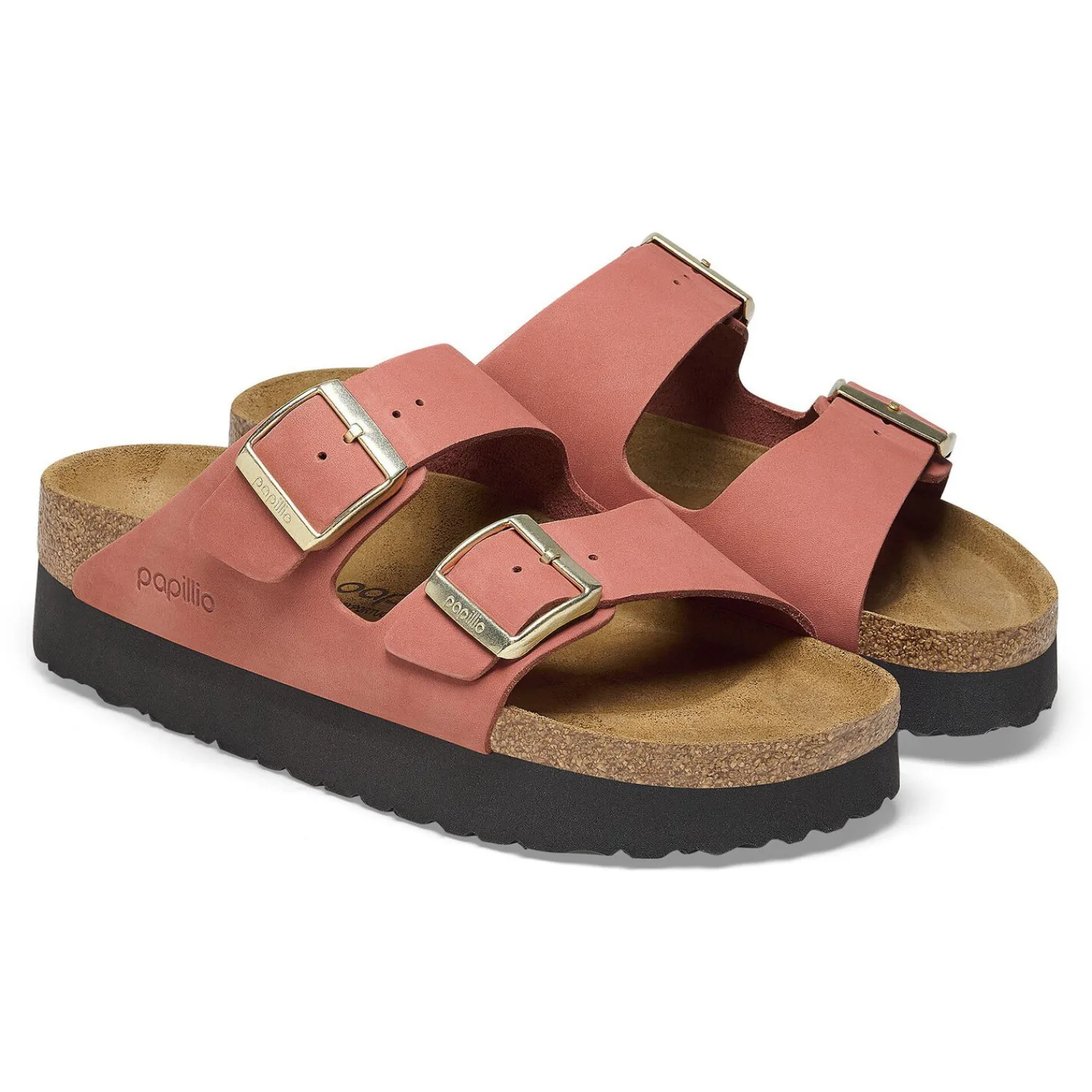 New Arizona Donna Plateau