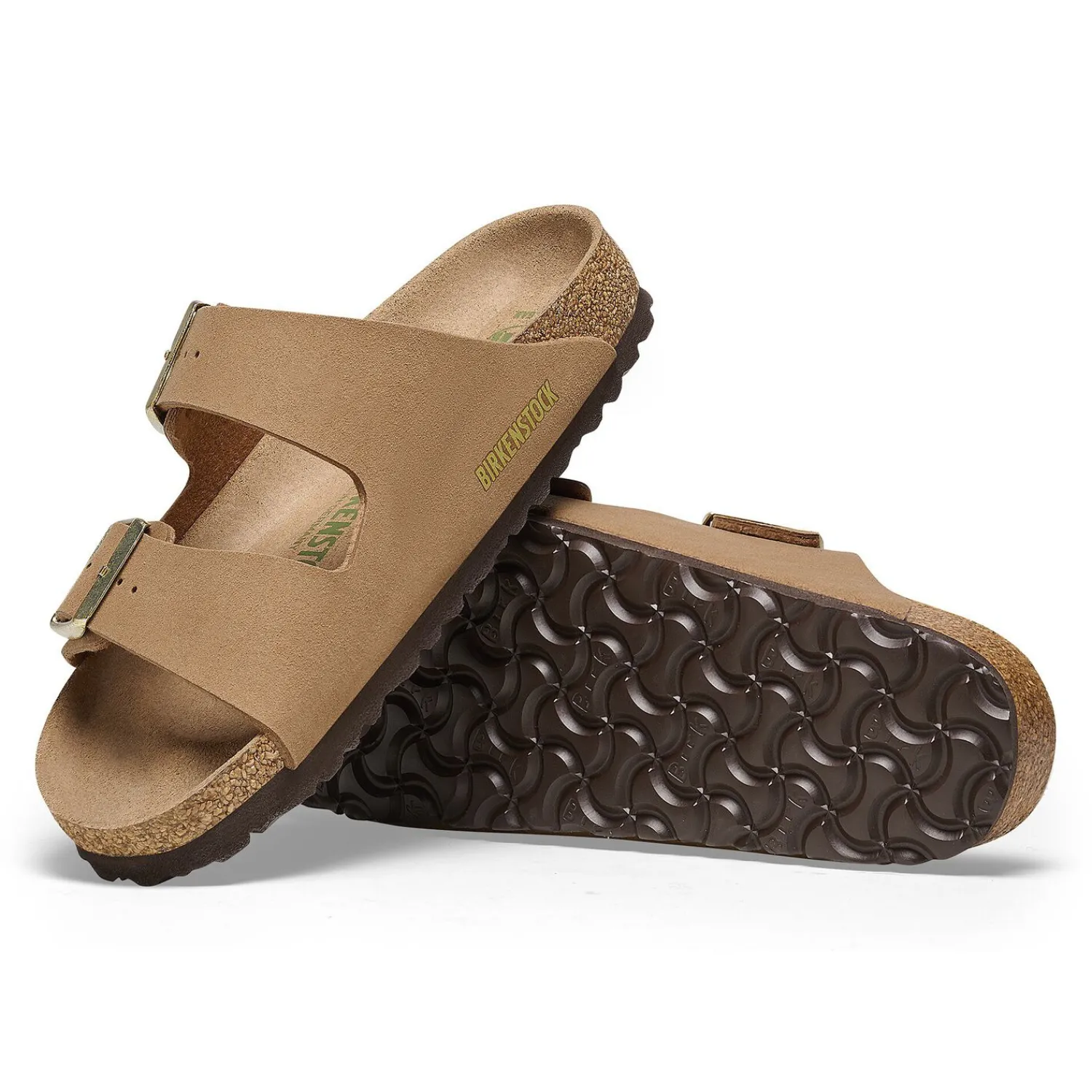 New Arizona Vegan Donna Due Cinturini
